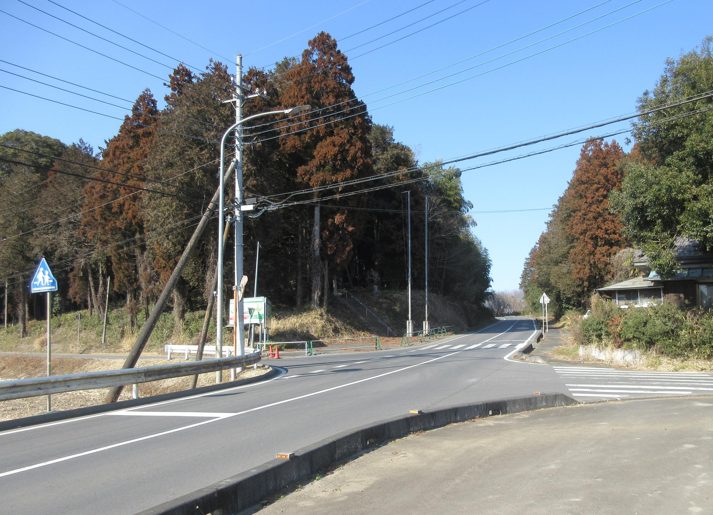 IMG_2523-3 IMG_2523-3