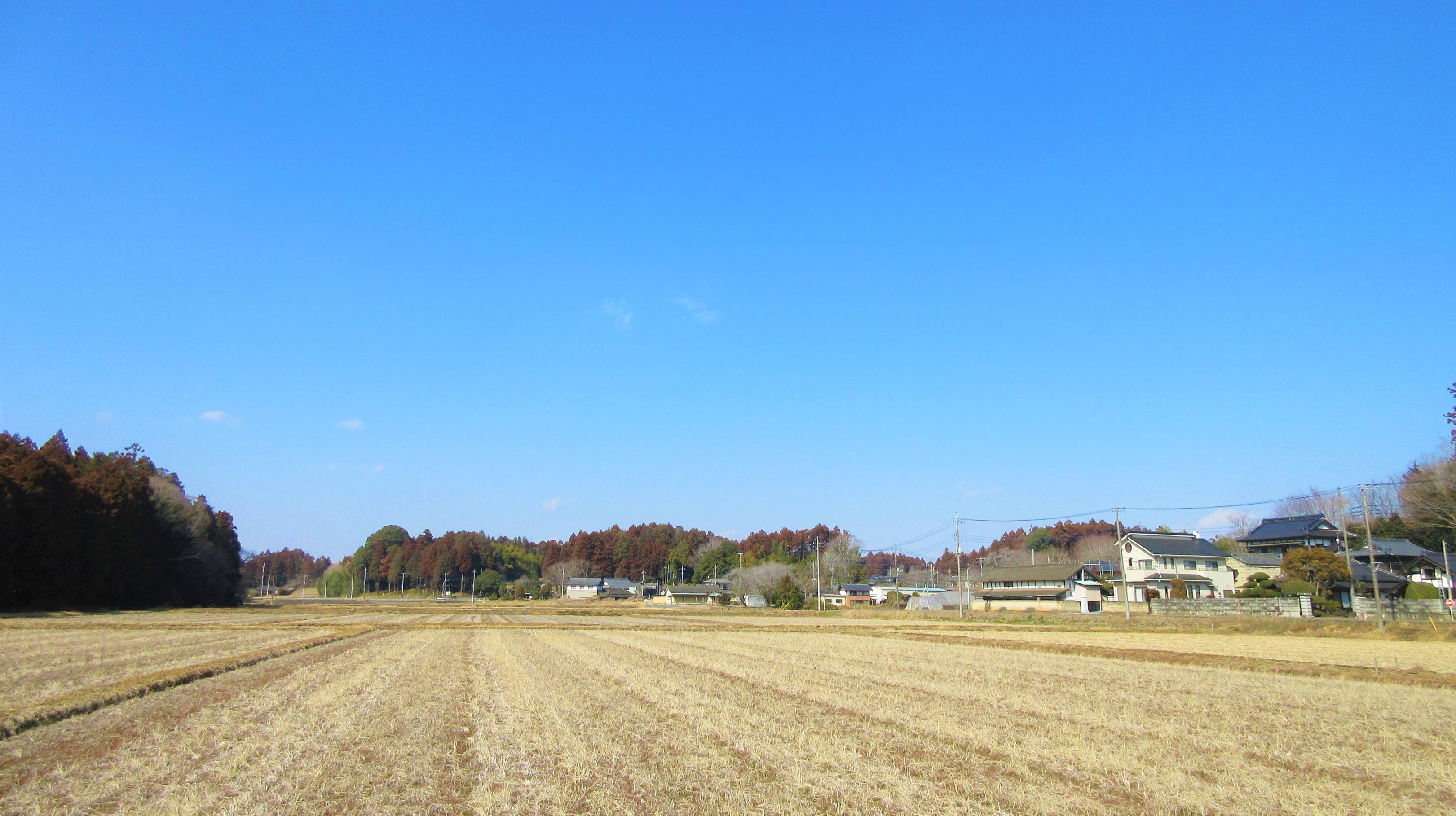 IMG_24991- IMG_24991-