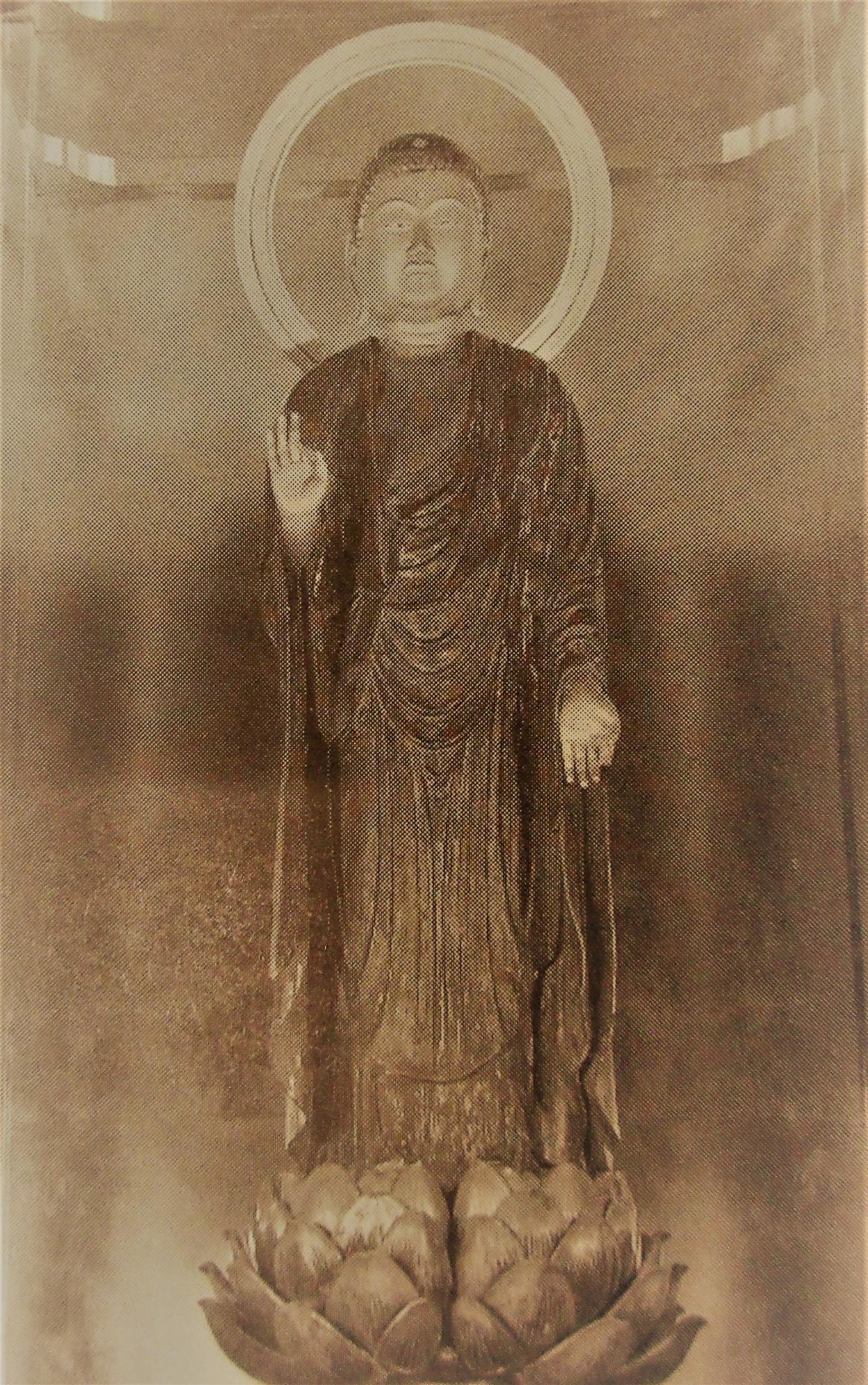 IMG_2479-1 IMG_2479-1