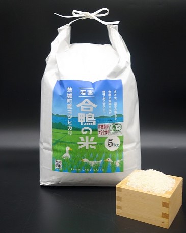 DSC07774（色調整済み、縦長）