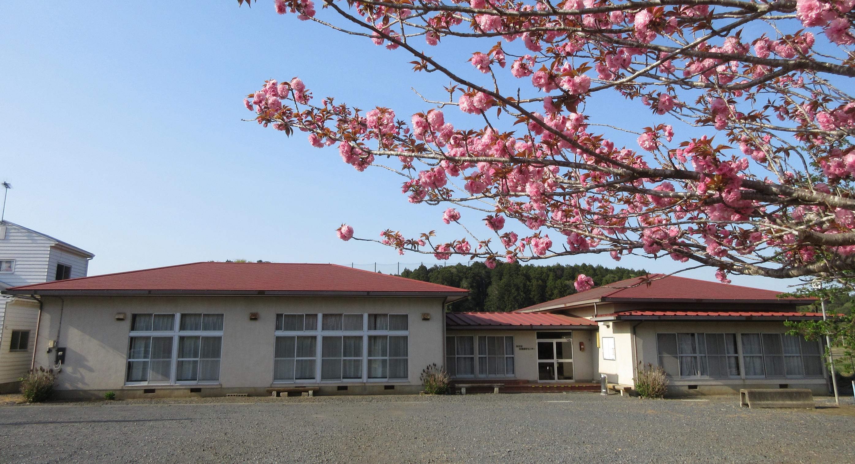 ☆IMG_2841-1 ☆IMG_2841-1