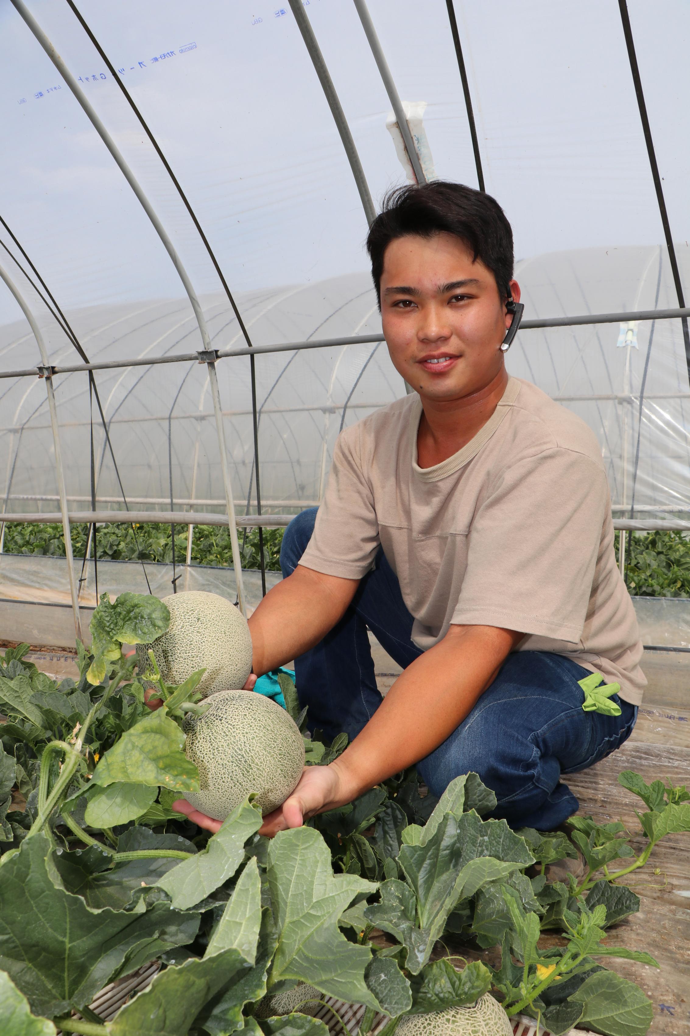 ミックス用 ミックス用