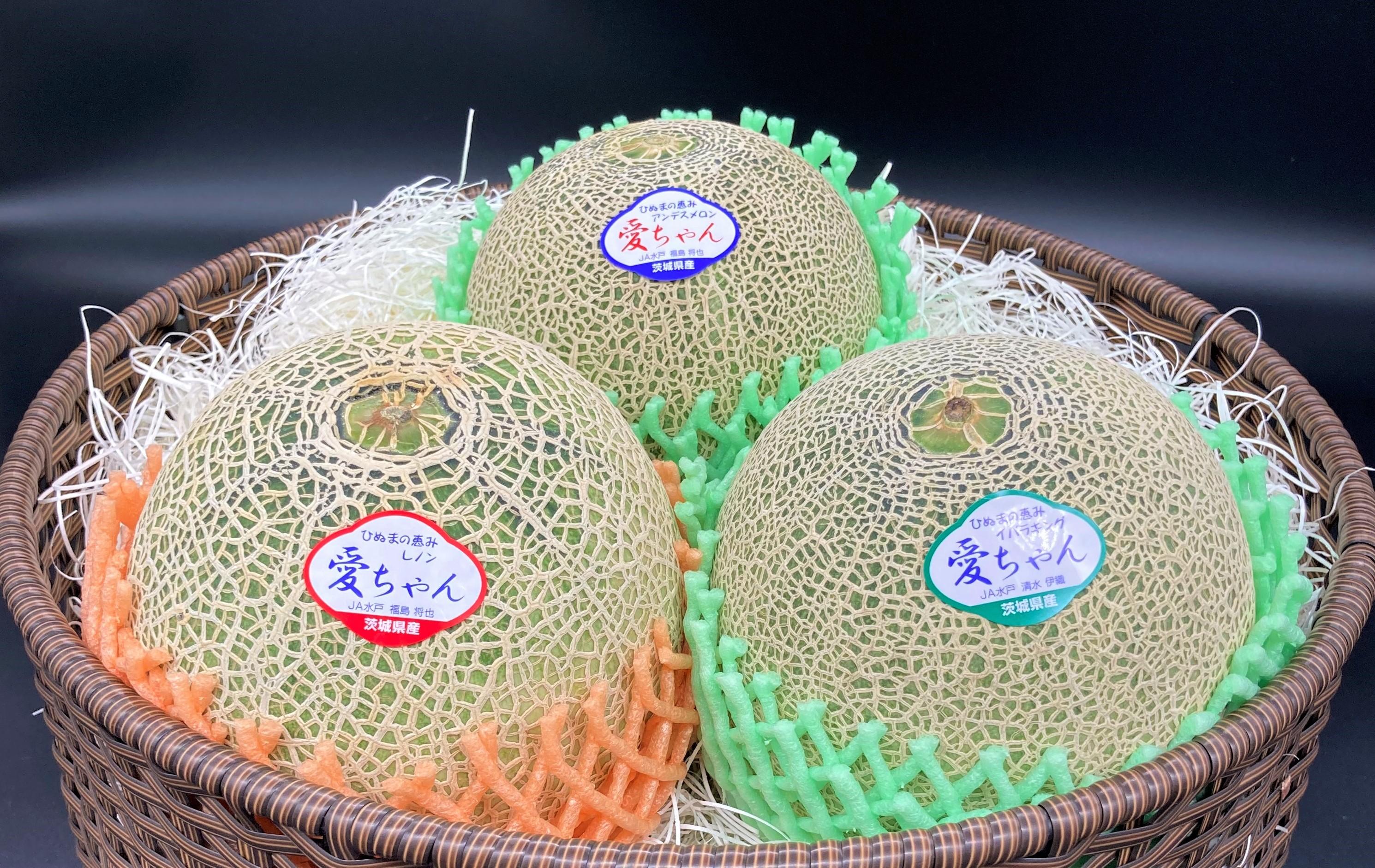 IMG_4919(広報掲載用) IMG_4919(広報掲載用)