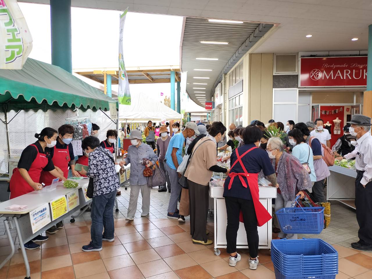 IMG20240929100238_20241007121322