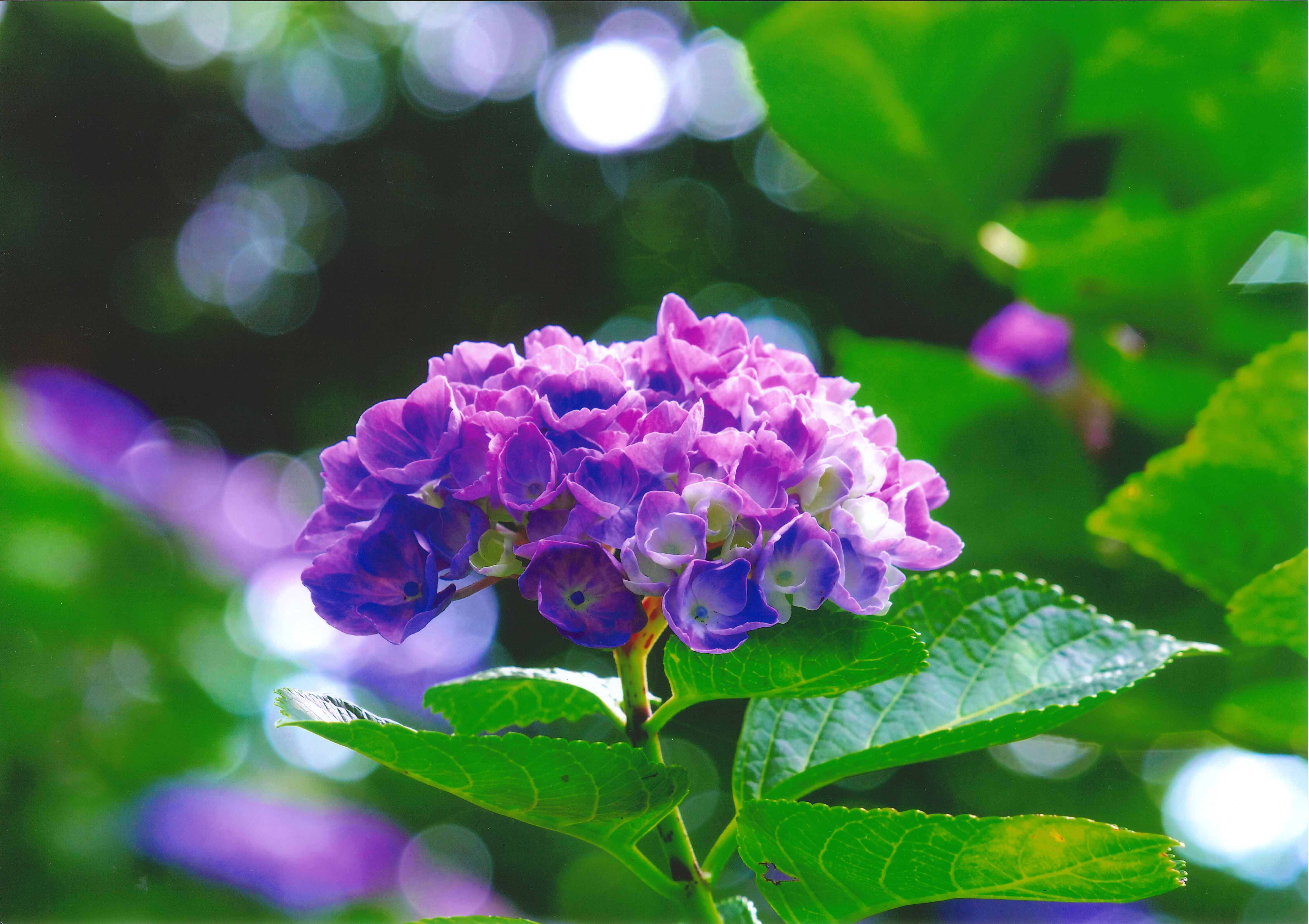 57_ときめき 57_ときめき