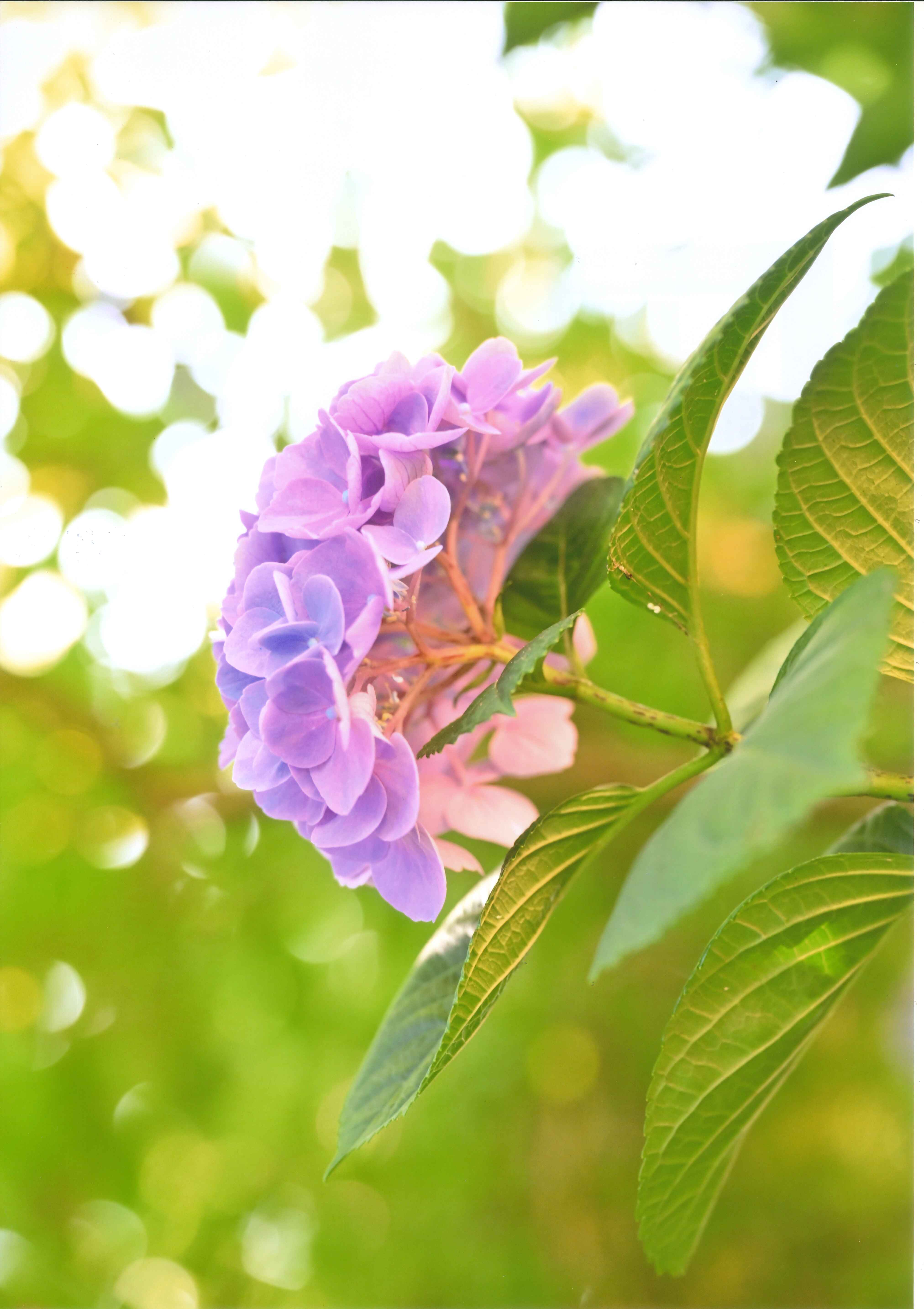 60_陽だまりの中で 60_陽だまりの中で