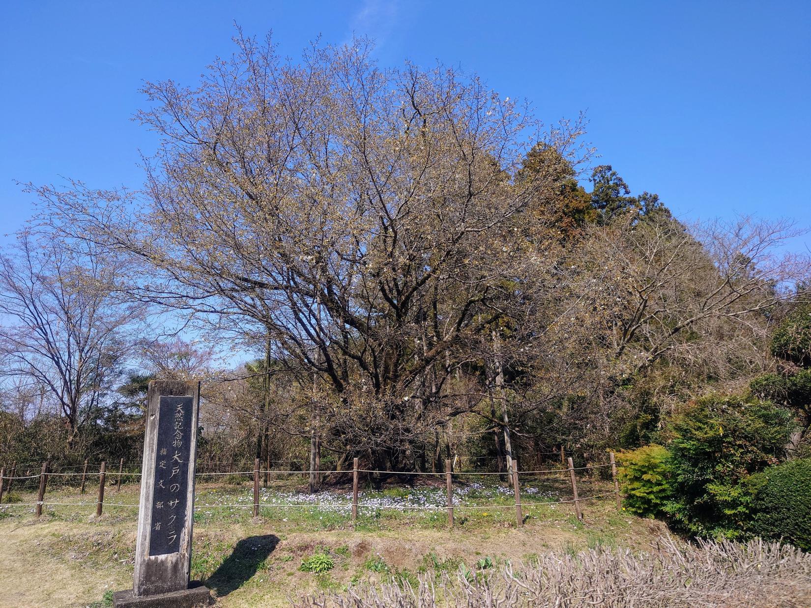 20260403oodo 20260403oodo