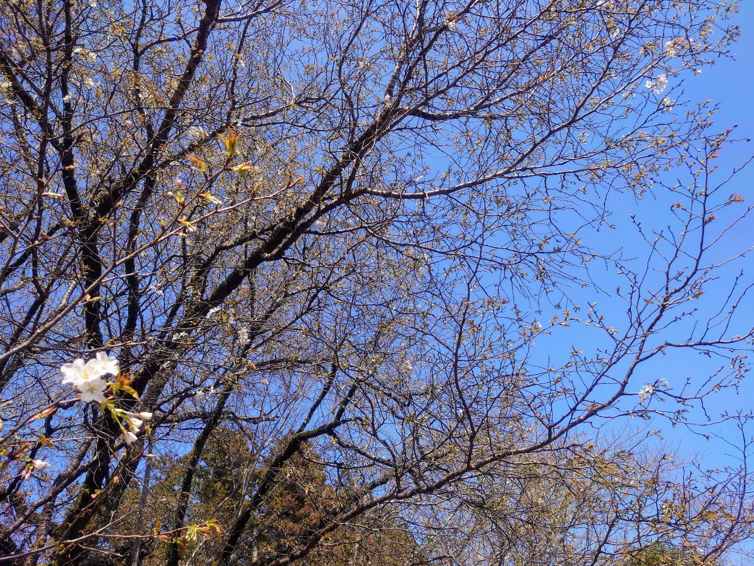 20260403oodo2 20260403oodo2